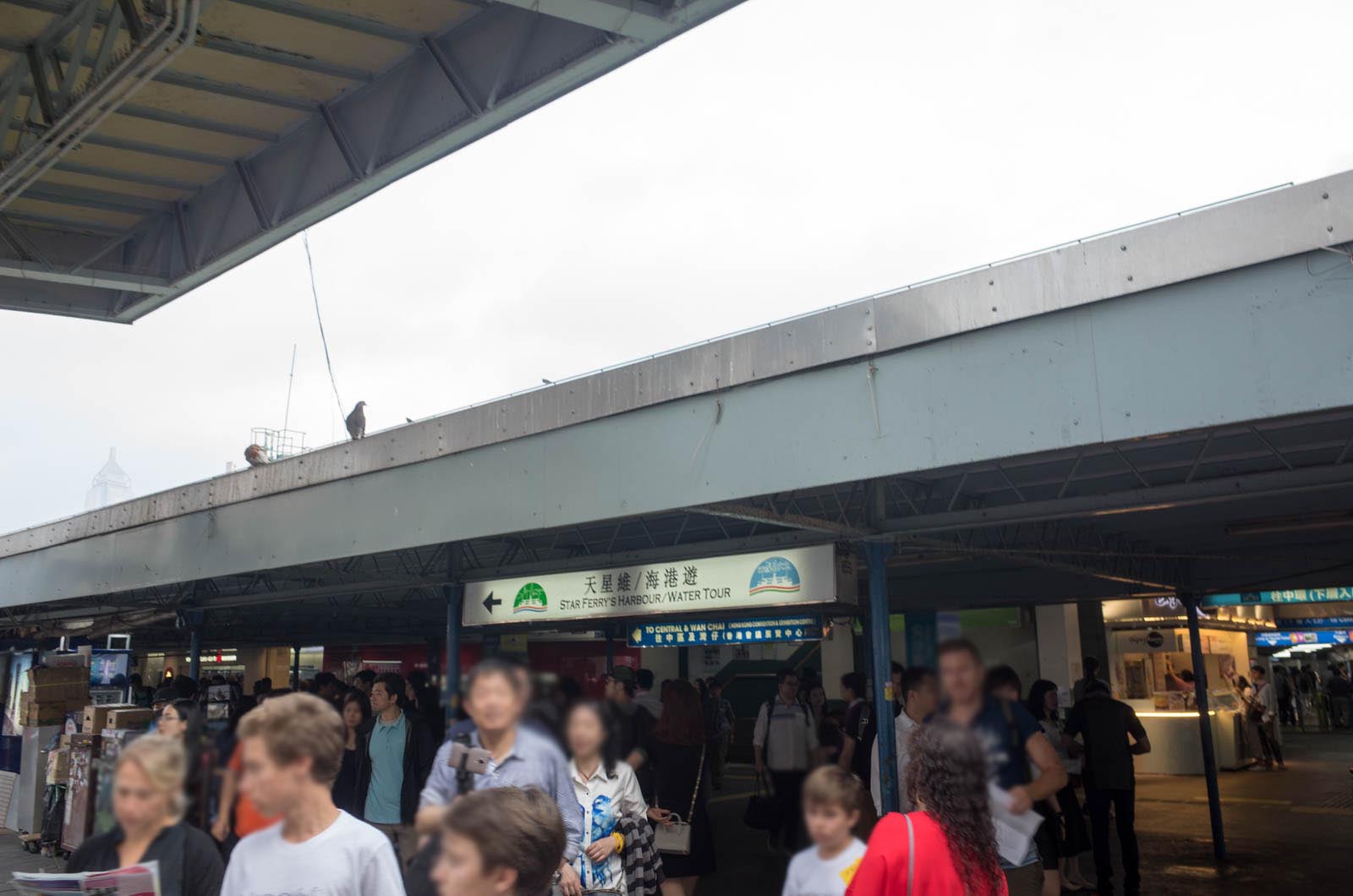 スターフェリー乗り場前