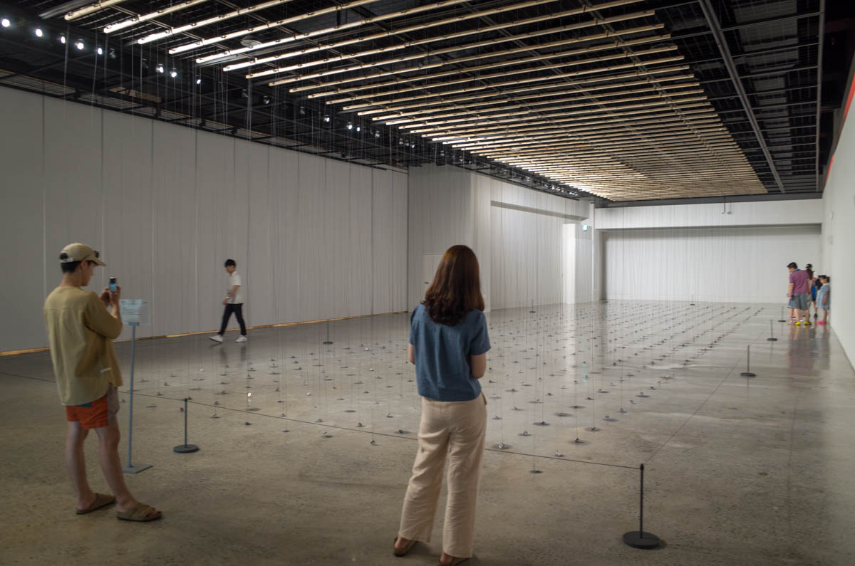 ザイムーンの展示