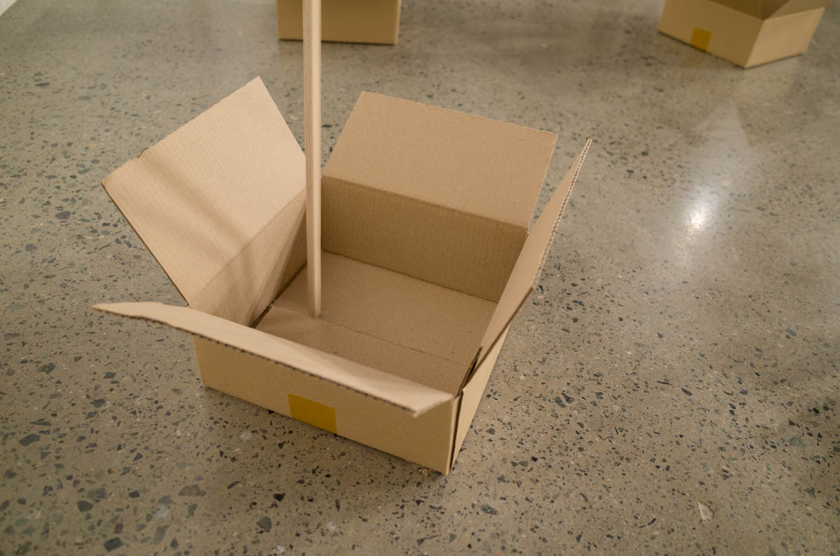 ザイムーンの展示