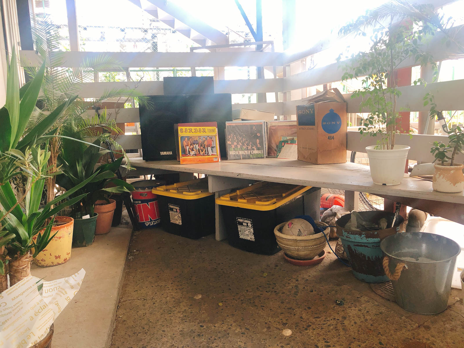 川沿いにある音楽とアンティークのカフェ「R（アール）